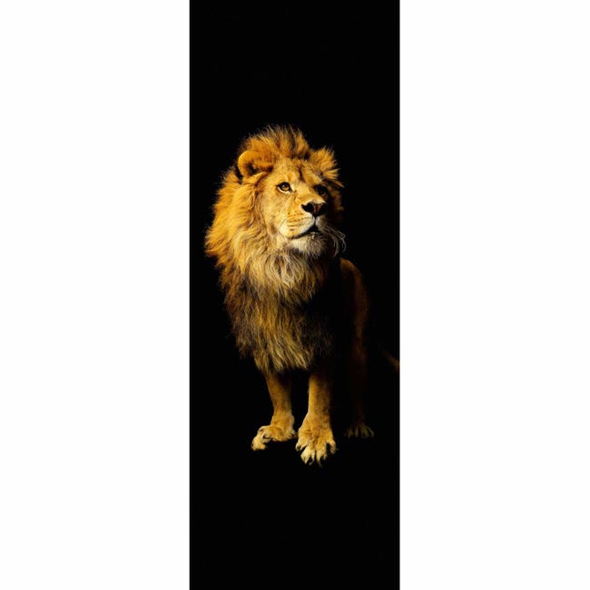 Tenture Murale Lion 3D Effet Artistique - Tissu Polyester 180x230 Cm - Décoration Pour Chambre, Salon Ou Dortoir