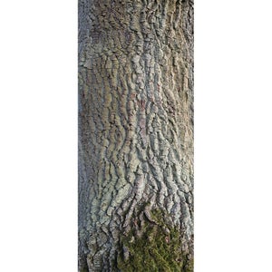 Relaxdays Visage d'arbre 4 parties, déco à accrocher, signe chut, tronc,  résiste aux intempéries, polyrésine, beige/brun