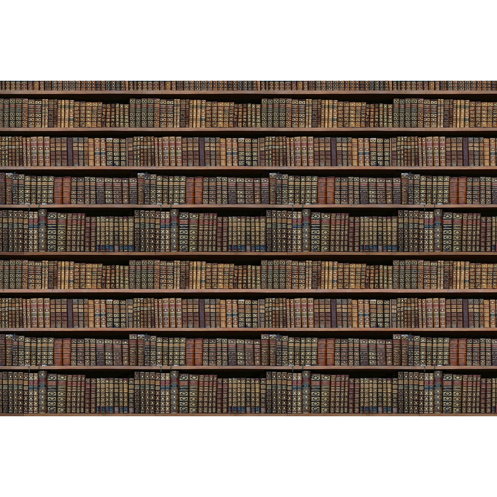 Papier peint panoramique - Imitation bibliothèque - Livres - 510cm x 280cm  (L x H)