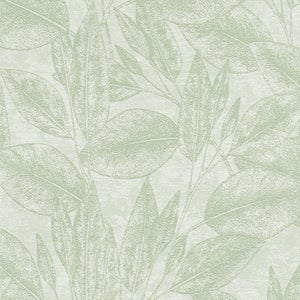 Échantillon DIN A4 de Papier peint vinyle tropical lessivable feuilles  plantes à l'huile texturé 3D vert - Habana Tropical 676369 de GAULAN