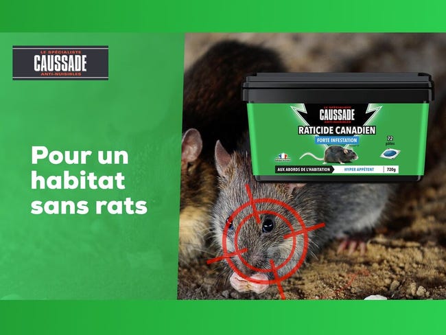 Anti Rats Lot de 2 boîtes Raticide Canadien Pat'Appât Fortes Infestations, 2x72 pâtes, Lieux Secs, Lieux Humides, Hyper Appètent