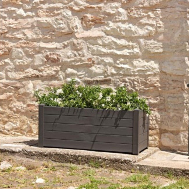 Vasi bonsai plastica | Acquisti Online su Vasi bonsai plastica | Acquisti Online su