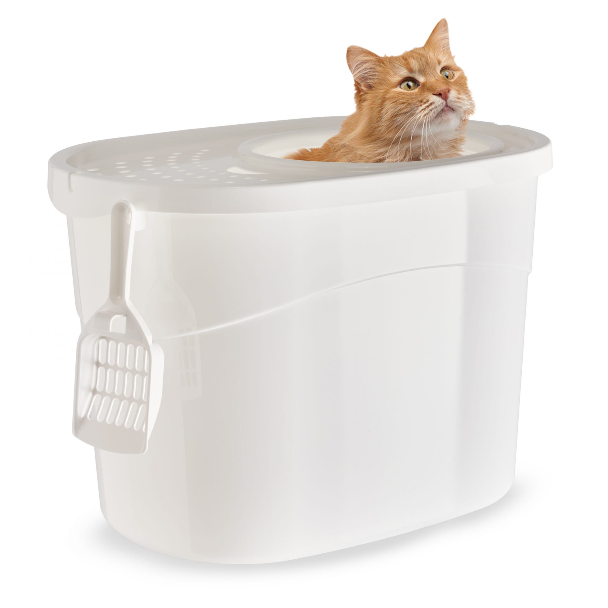 IRIS OHYAMA - Bac à Litière fermé - Pelle incluse - Couvercle à trous -  Pour chat - Top Entry Cat Litter Box - Blanc