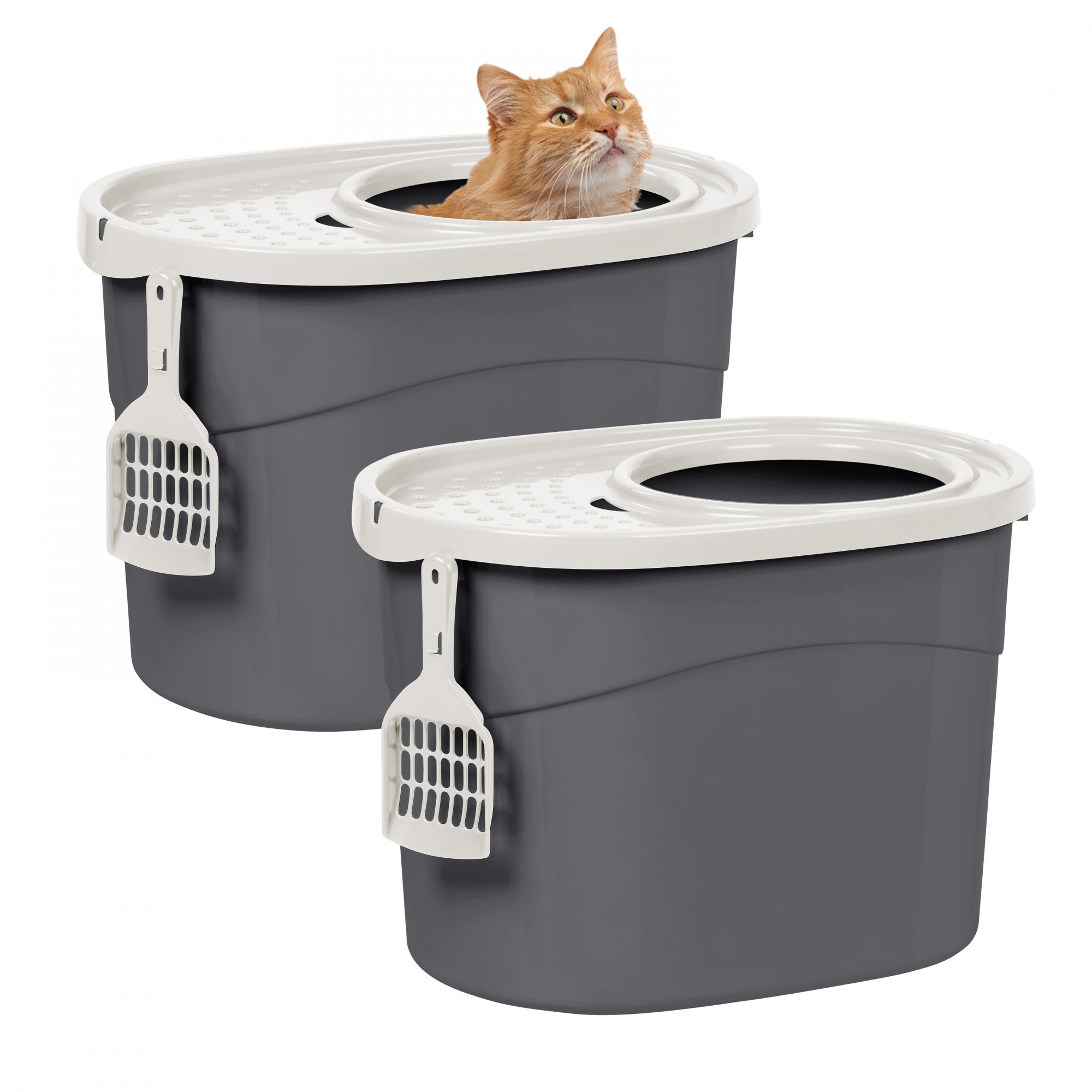 Toilettes pour chat avec hotte et grande entrée, sans propagation d'odeurs  et de