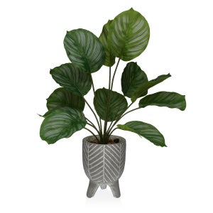 Pianta Artificiale da interno ed esterno Calathea Bell con vaso h 115 cm  / Default Title