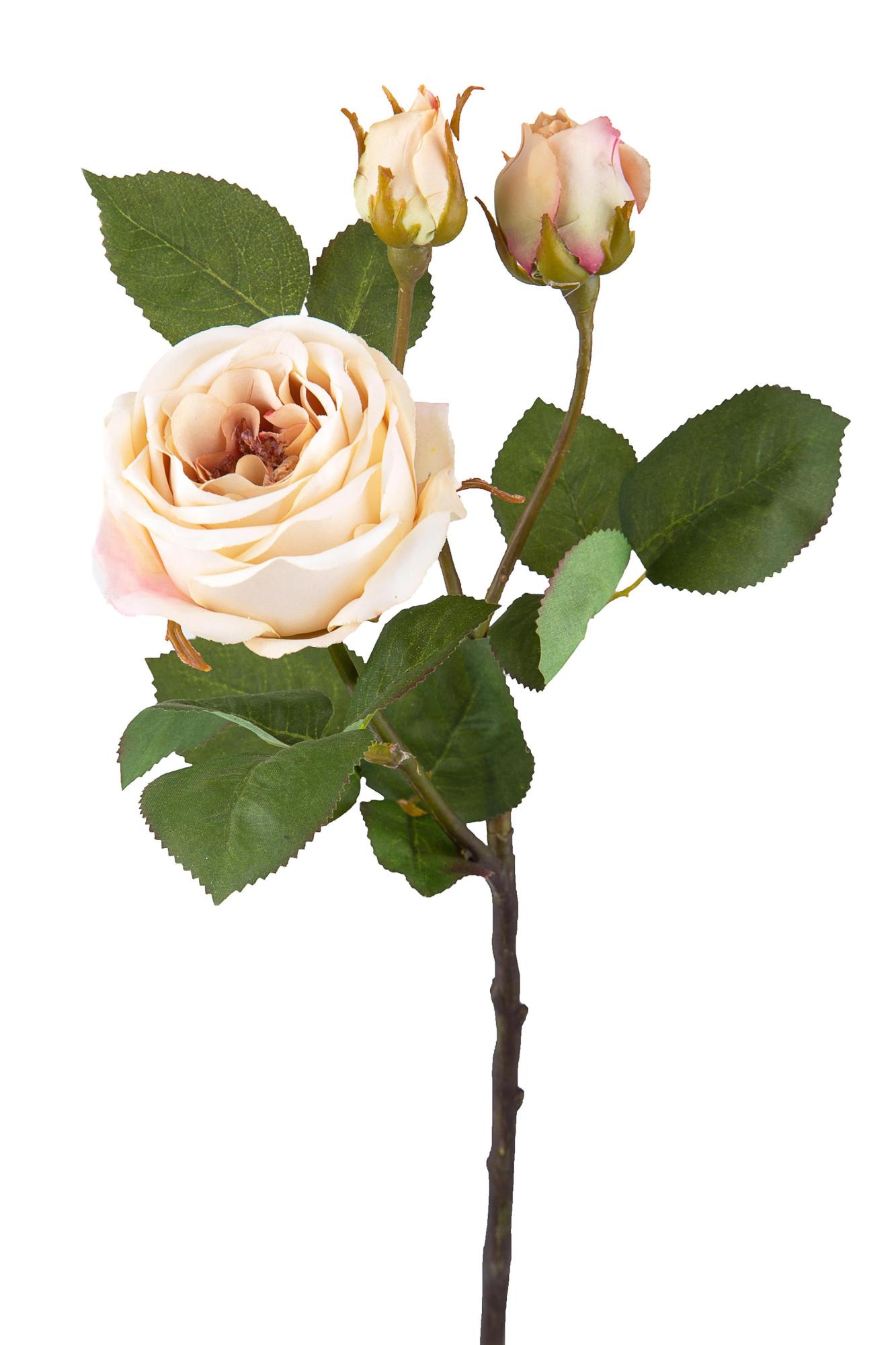 De Petits Coins: Fiori artificiali per angoli... speciali
