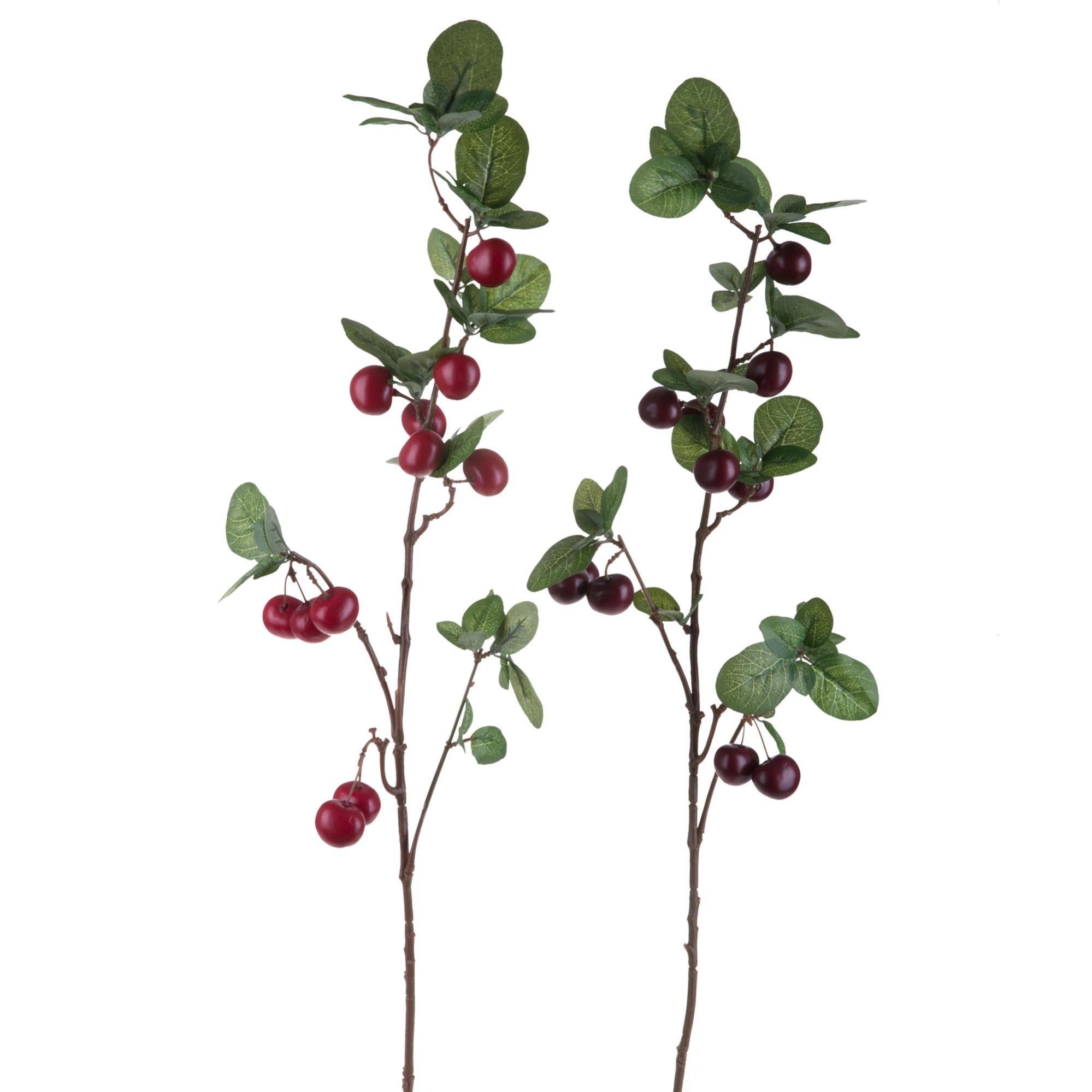 Set di 3 rami artificiali di melograno realistici, 95 cm, per ...NZXVSE 3 rami di melograno artificiale, 95 cm, per bouquet di...Ramo Artificiale Melograno 95h Cm EDG | Perrone Shop Set di 3 rami artificiali di melograno realistici, 95 cm, per ...NZXVSE 3 rami di melograno artificiale, 95 cm, per bouquet di...Ramo Artificiale Melograno 95h Cm EDG | Perrone Shop