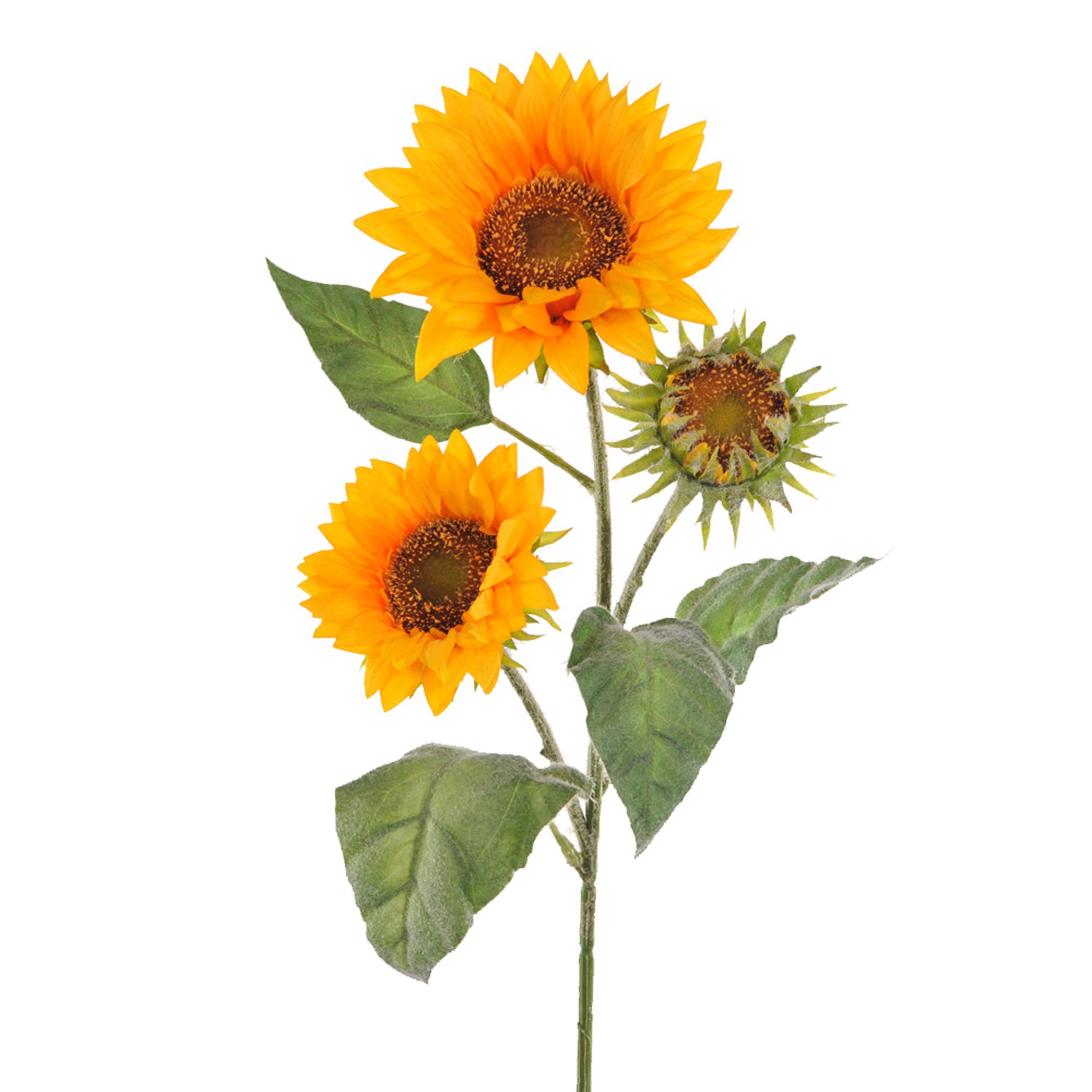 Set Girasoli Artificiali Con Fiori Altezza Cm Giallo Leroy Merlin