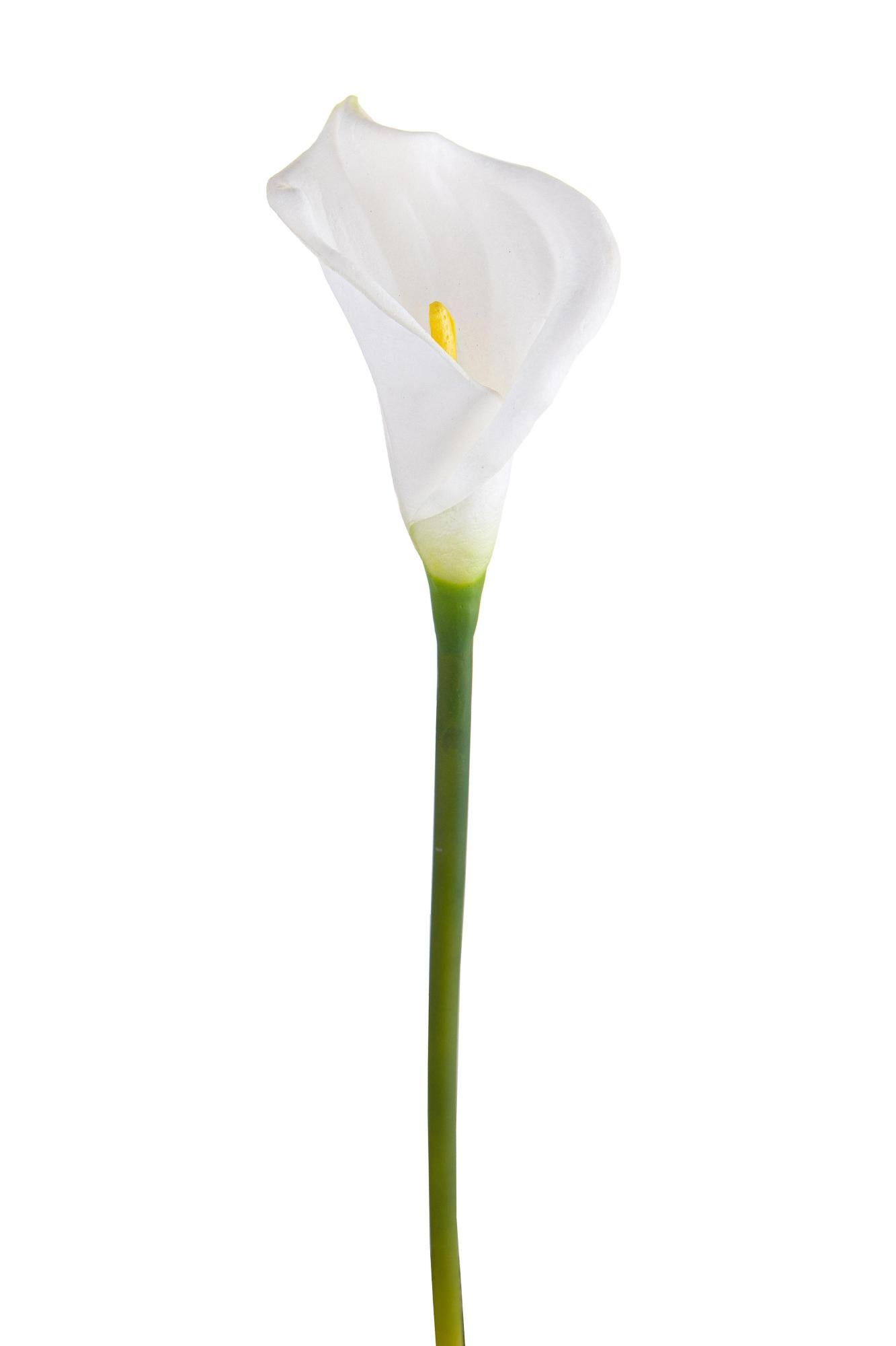 72 Pezzi Di Bomboniere Fiore Calla In Tessuto Garzato Bianco Con Cuore Corallo