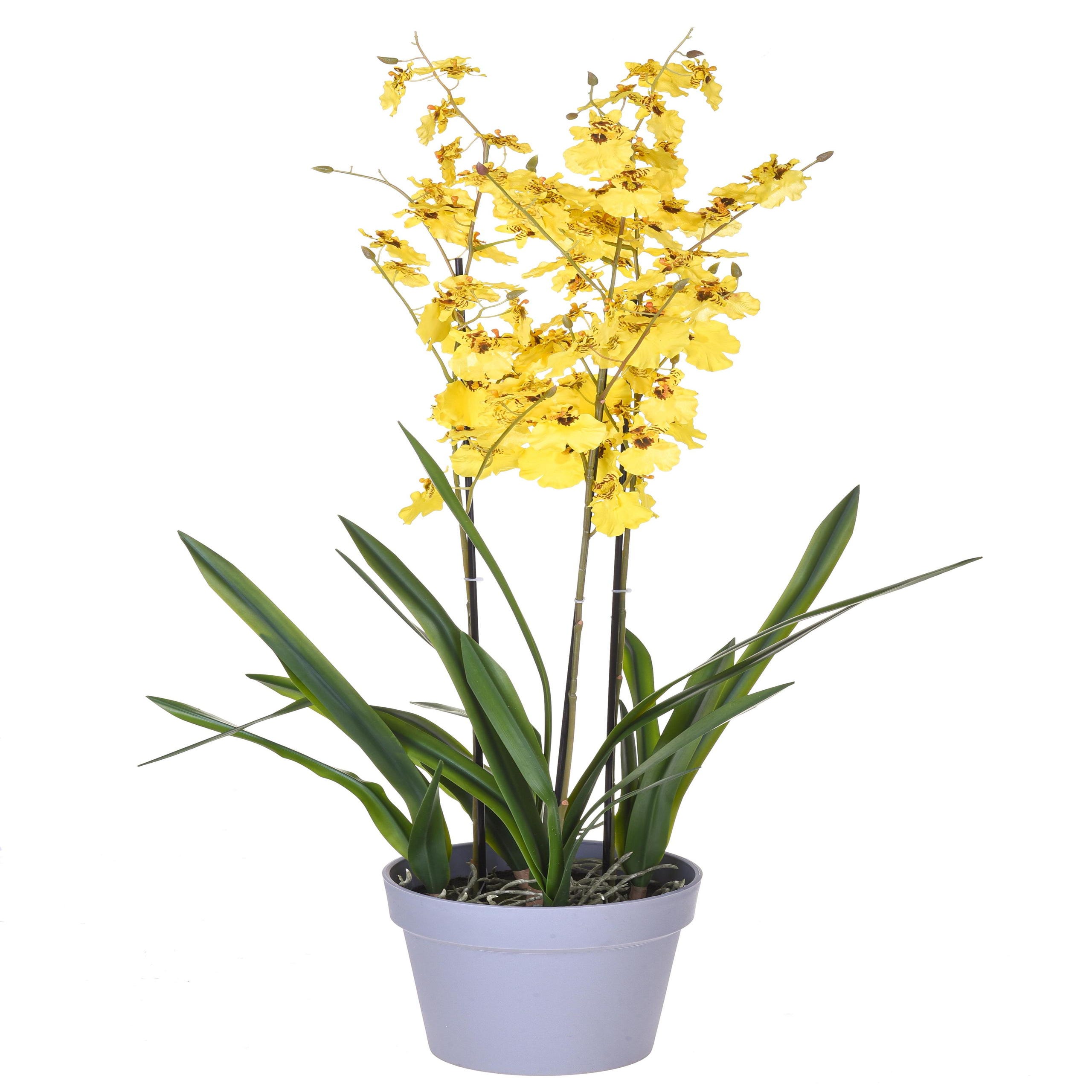 Orchidea Artificiali Oncidium a 3 Diramazioni con Vaso Altezza 45 cm Giallo