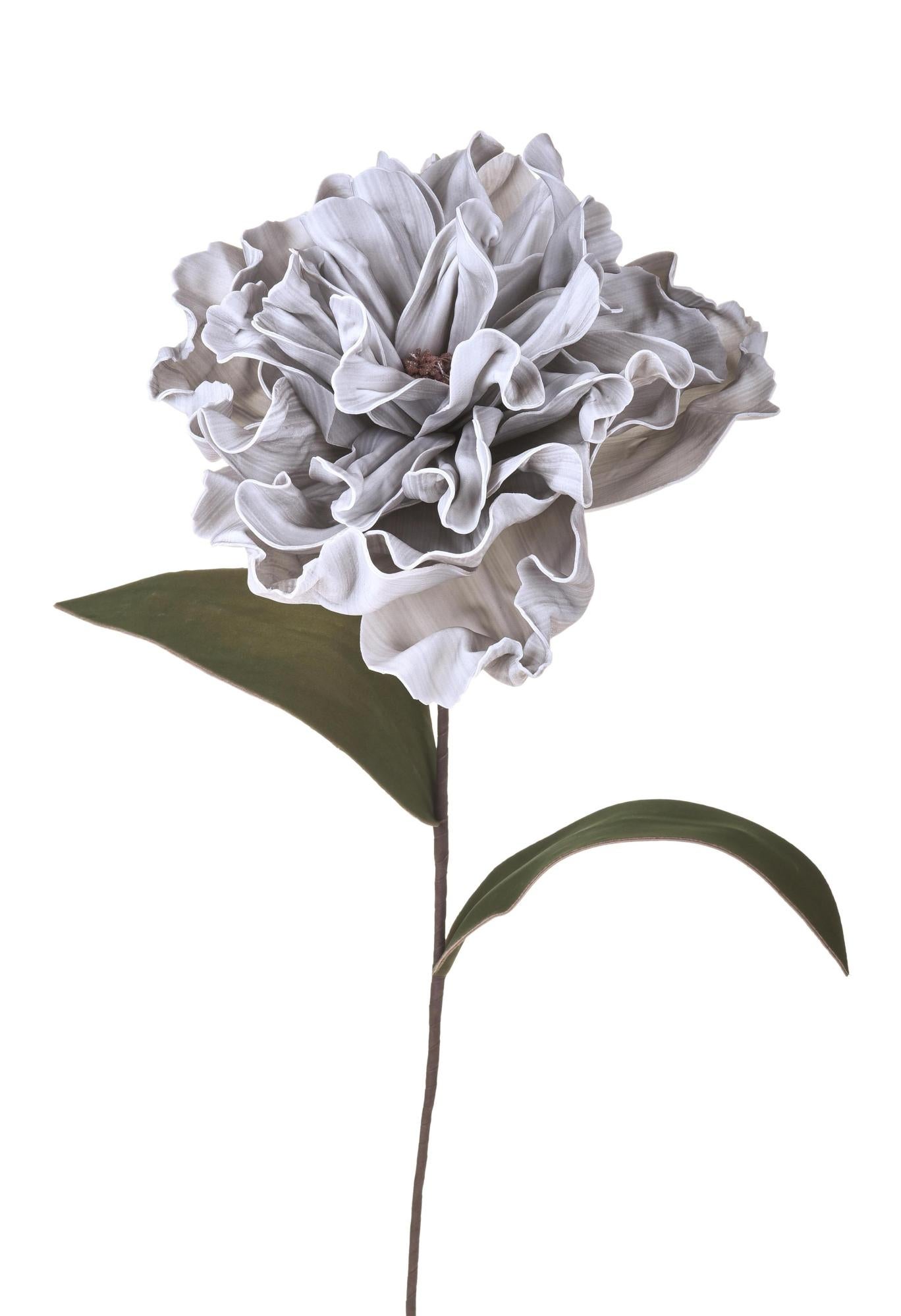 Poster Fiori Di Peonia Isolato Su Sfondo Bianco - Foto 4