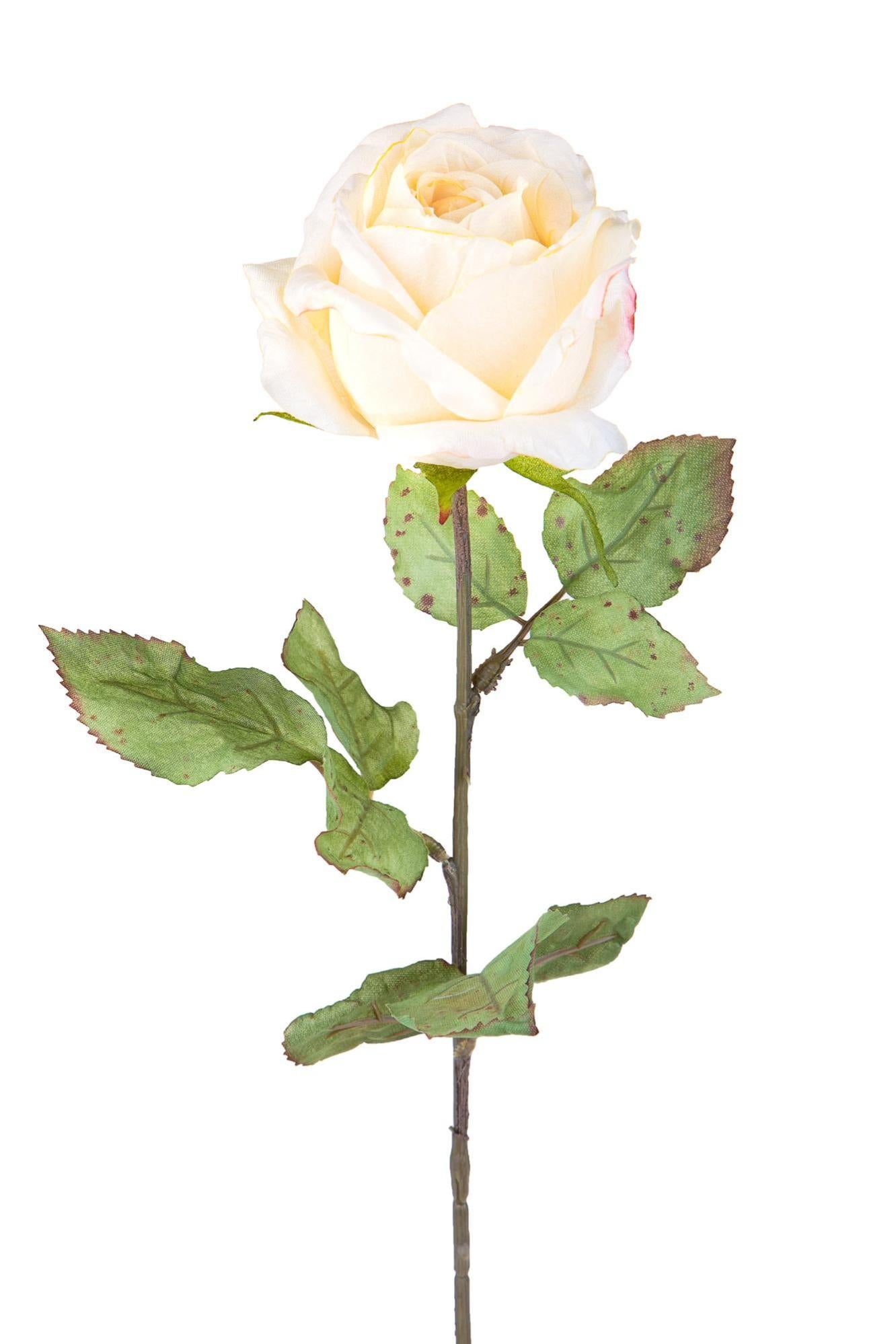 CaPiSo 72 scatole di rose artificiali, 3,5 cm, mini | FindTheDeal