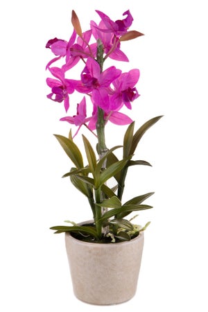 Maison Exclusive - Orchidea Artificiale con Vaso75 cm Rosa