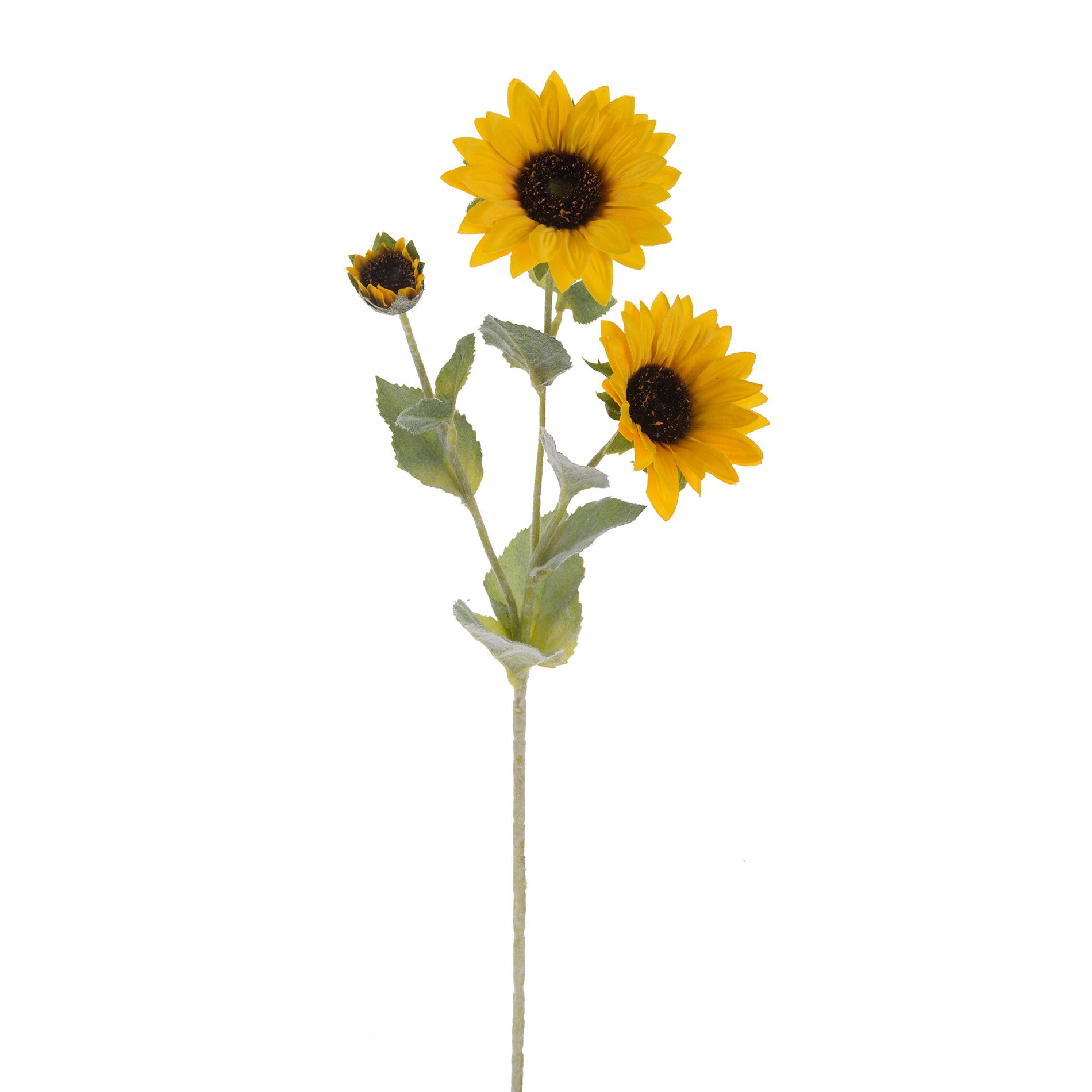 Girasole con fiore singolo - 100 cm