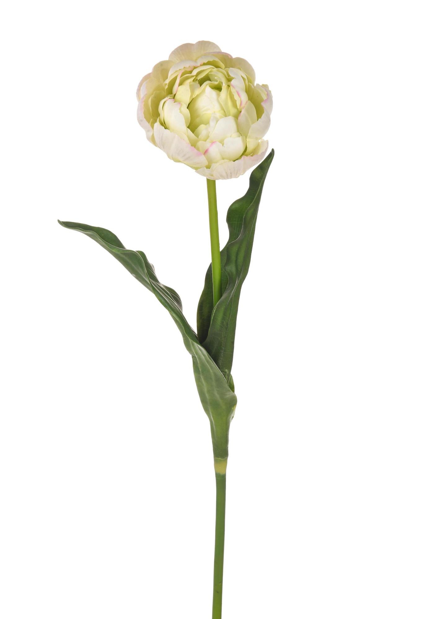 Set 4 Tulipani Artificiali con Real Touch Altezza 67 cm Verde | Leroy