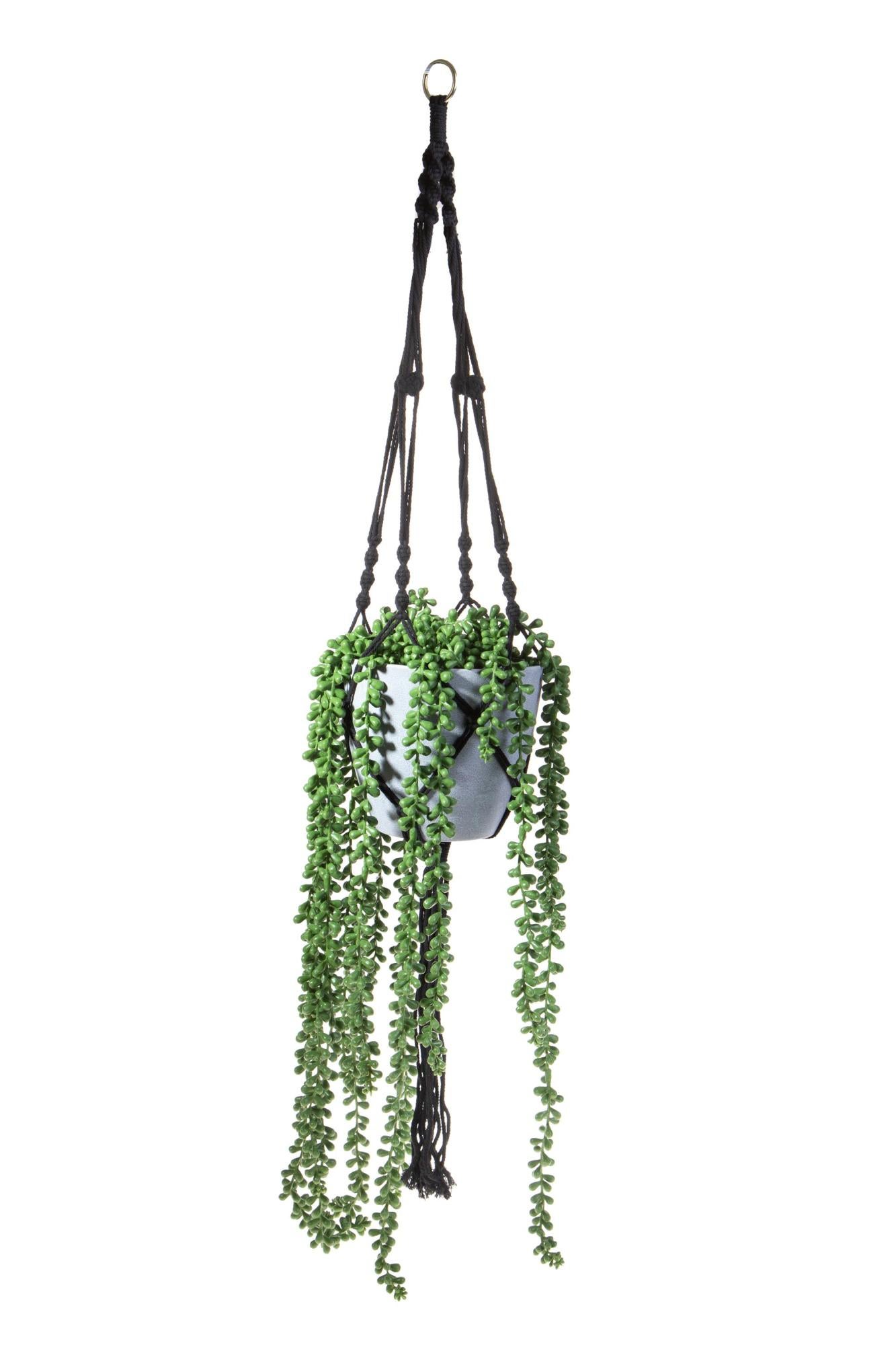 Pianta Grassa Artificiale Da Appendere Asa Selection - 30 Cm, Finta Sempreverde, Senza Manutenzione - 3