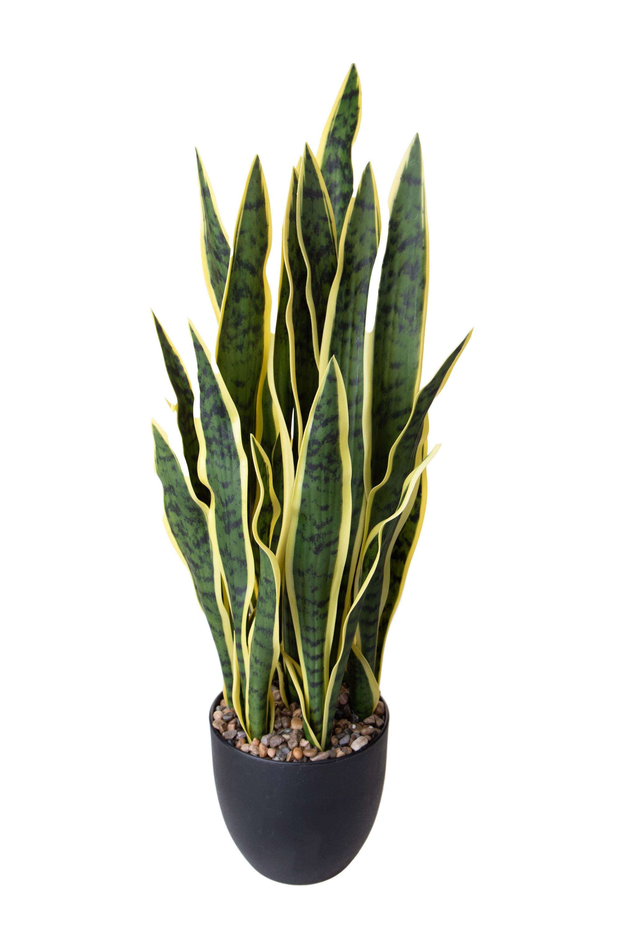 Pianta Artificiale Sanseveria con Vaso 78 cm
