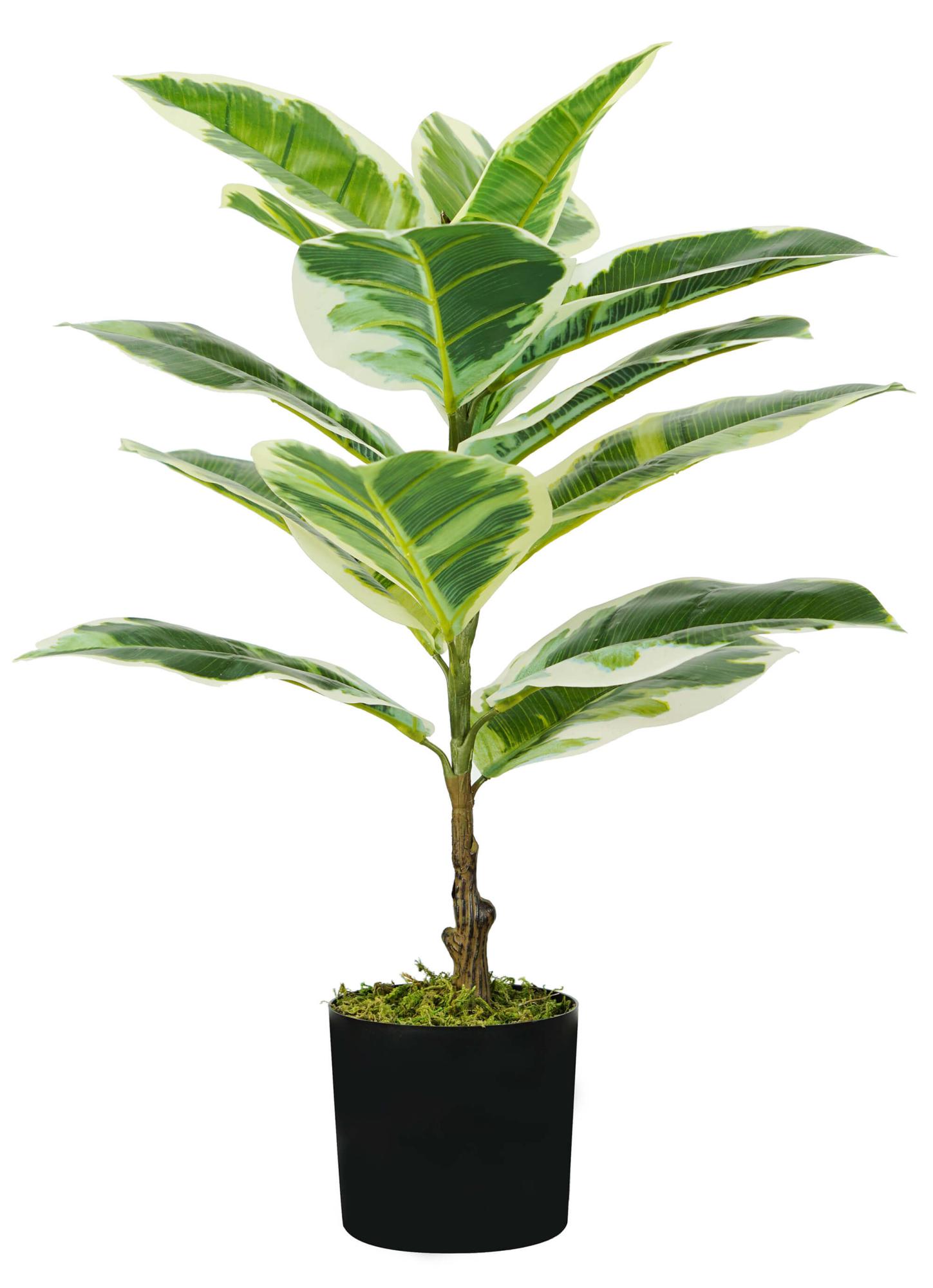 Albero Di Ficus Artificiale Da 1,8 Mt Con Vaso, Pianta Finta In Seta Per Decorazione Interna, Per Soggiorno, Ufficio, Giardino - 3