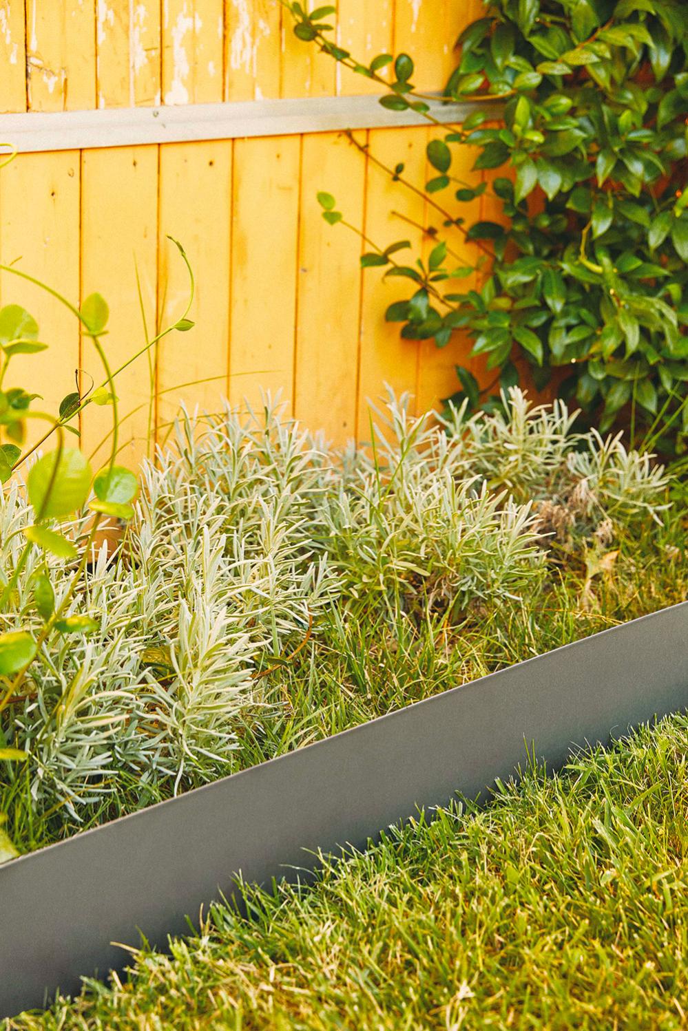 Sguardo Fisso Andando A Decidere Seno Bordure Per Aiuole In Plastica Amazon Terr - Foto 4