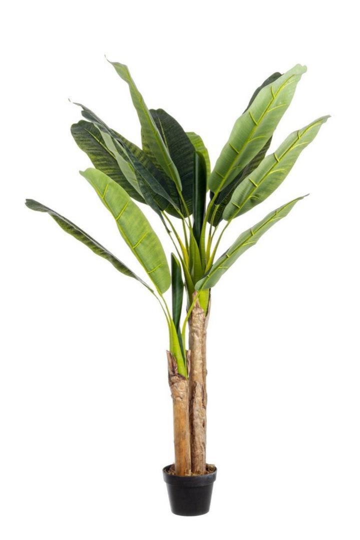 Pianta Finta Banano Dieffenbachia 80cm - Decorazione Interni Ed Esterni Realistica Con Vaso