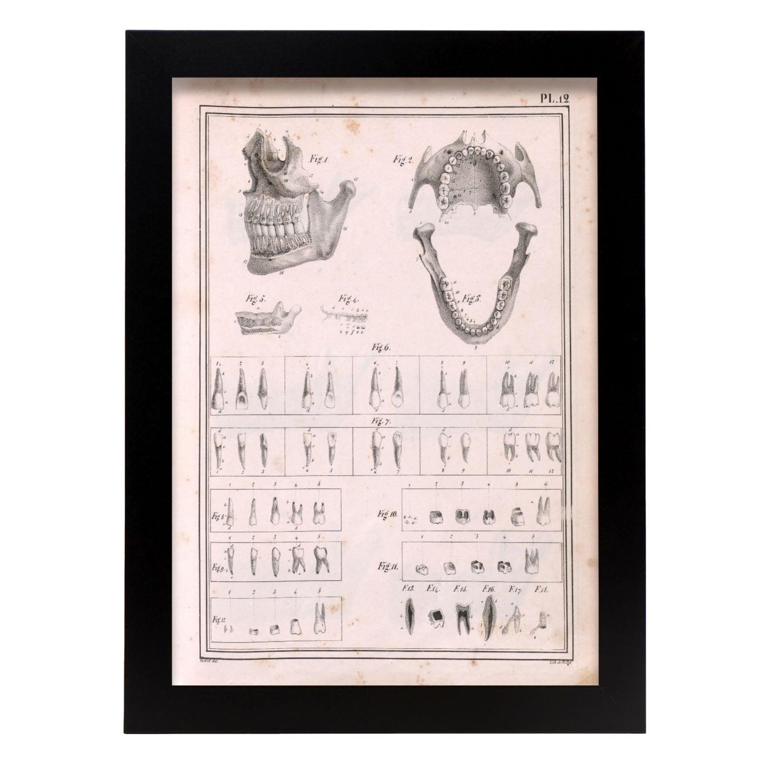 Portachiavi Vintage Elefante In Rame Bianco, Mascella Mobile, Souvenir Thailandia India, Portafortuna Uomo Regalo Aziendale