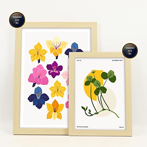 Set de 3 ilustraciones florales, set de cuadros con flores, láminas  decorativas flores, láminas decorativas plantas, set de laminas salon
