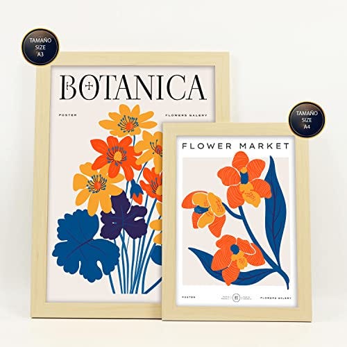 Colección Set Láminas Botánica: Plantas y Flores para Decorar