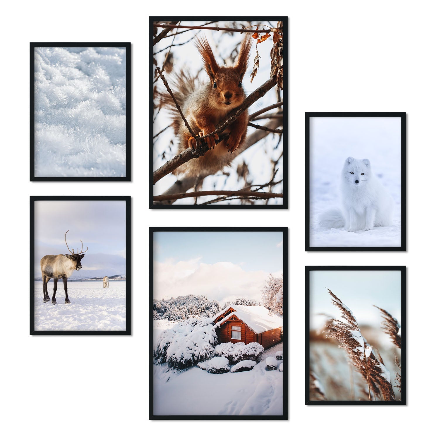 6 Poster Fotografie Animali E Neve Moderne Fogli Decorativi Per La Sala Da  Parete Del Murale Collage A3 E A4