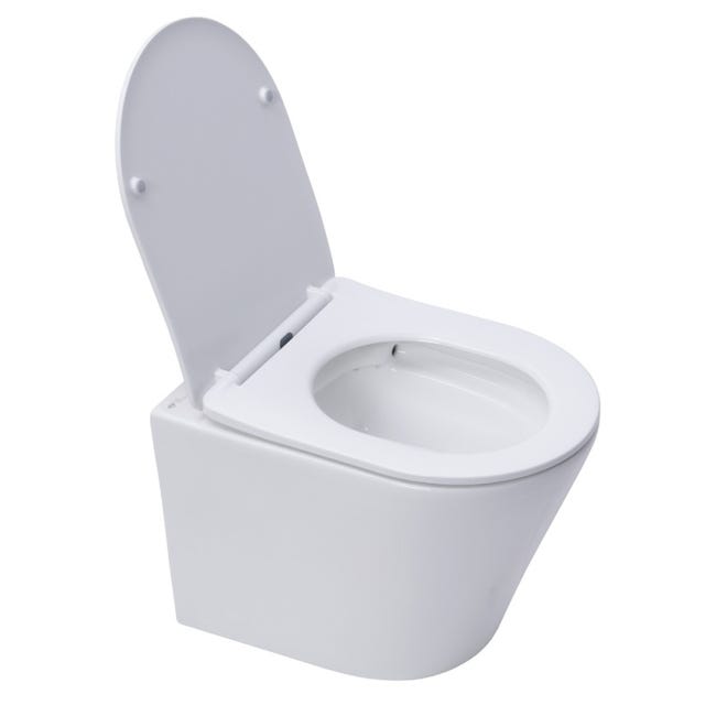 Bau Ceramic Cuvette WC suspendue Blanc alpin sans abattant GROHE
