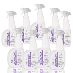 Désinfectant Liquide Special Maison - Sprayer - 750ml - X2