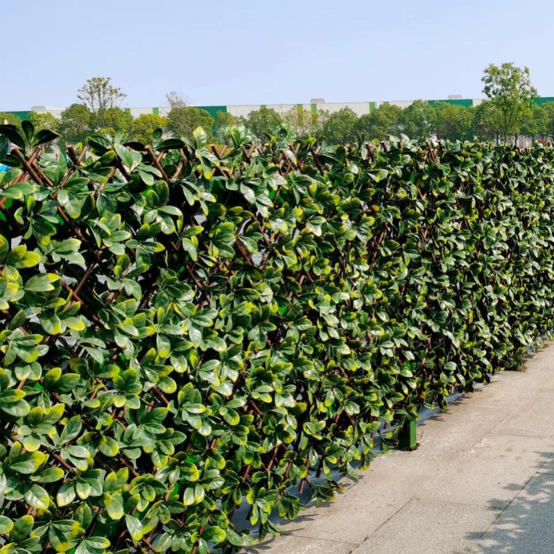 Brise Vue Treillis Extensible Fleur de Jasmin MGS Leroy Merlin