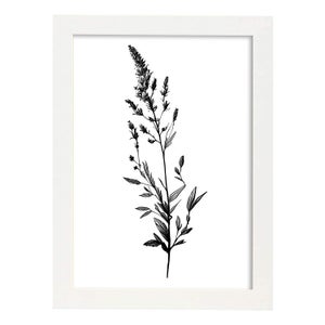 Nacnic Larkspur Di Poster Botanico Di Piante Di Fiori In Bianco E Nero  Linea Nordica Stampe Per Camera Dei Bambini Modello 1 A4 Con Cornici  Bianche