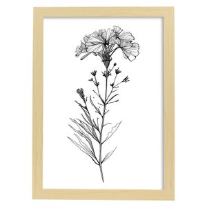 Nacnic Larkspur Di Poster Botanico Di Piante Di Fiori In Bianco E Nero  Linea Nordica Stampe Per Camera Dei Bambini Modello 1 A4 Con Cornici  Bianche