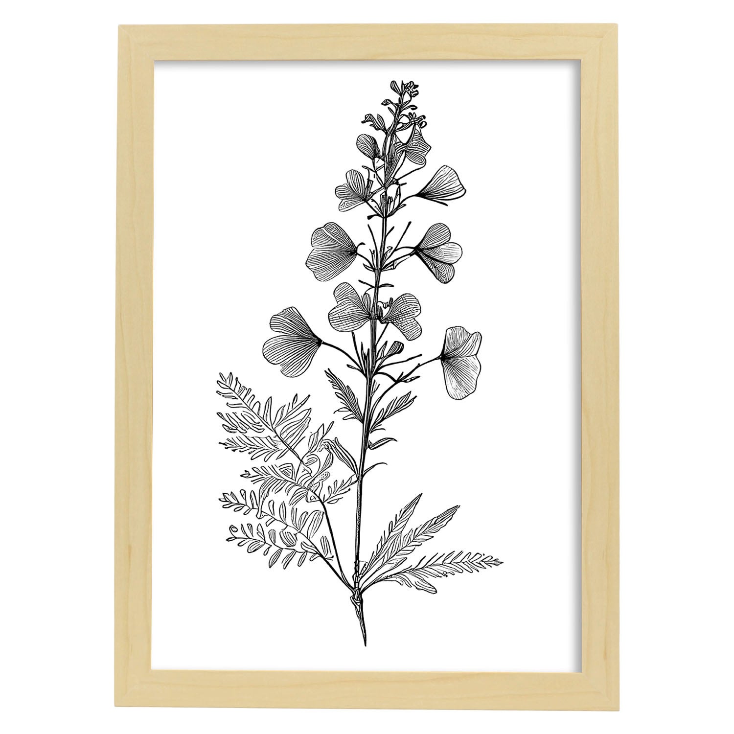 Nacnic Larkspur Di Poster Botanico Di Piante Di Fiori In Bianco E Nero  Linea Nordica Stampe Per Camera Dei Bambini Modello 1 A4 Con Cornici  Bianche