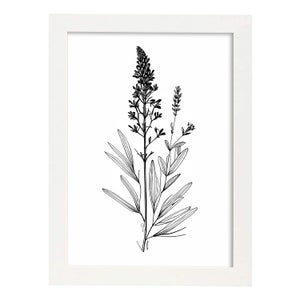 Nacnic Larkspur Di Poster Botanico Di Piante Di Fiori In Bianco E Nero  Linea Nordica Stampe Per Camera Dei Bambini Modello 1 A4 Con Cornici  Bianche