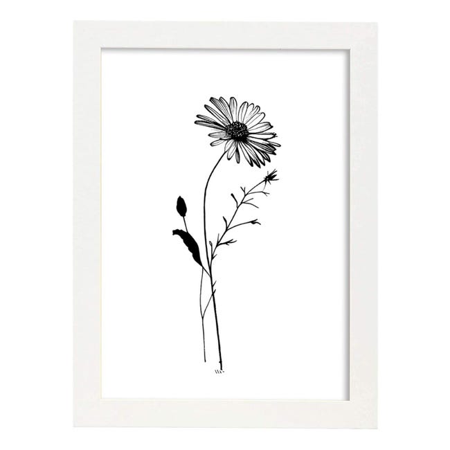 Nacnic Bouvardia Di Poster Botanico Di Piante Di Fiori In Bianco E Nero Nacnic Bouvardia Di Poster Botanico Di Piante Di Fiori In Bianco E Nero