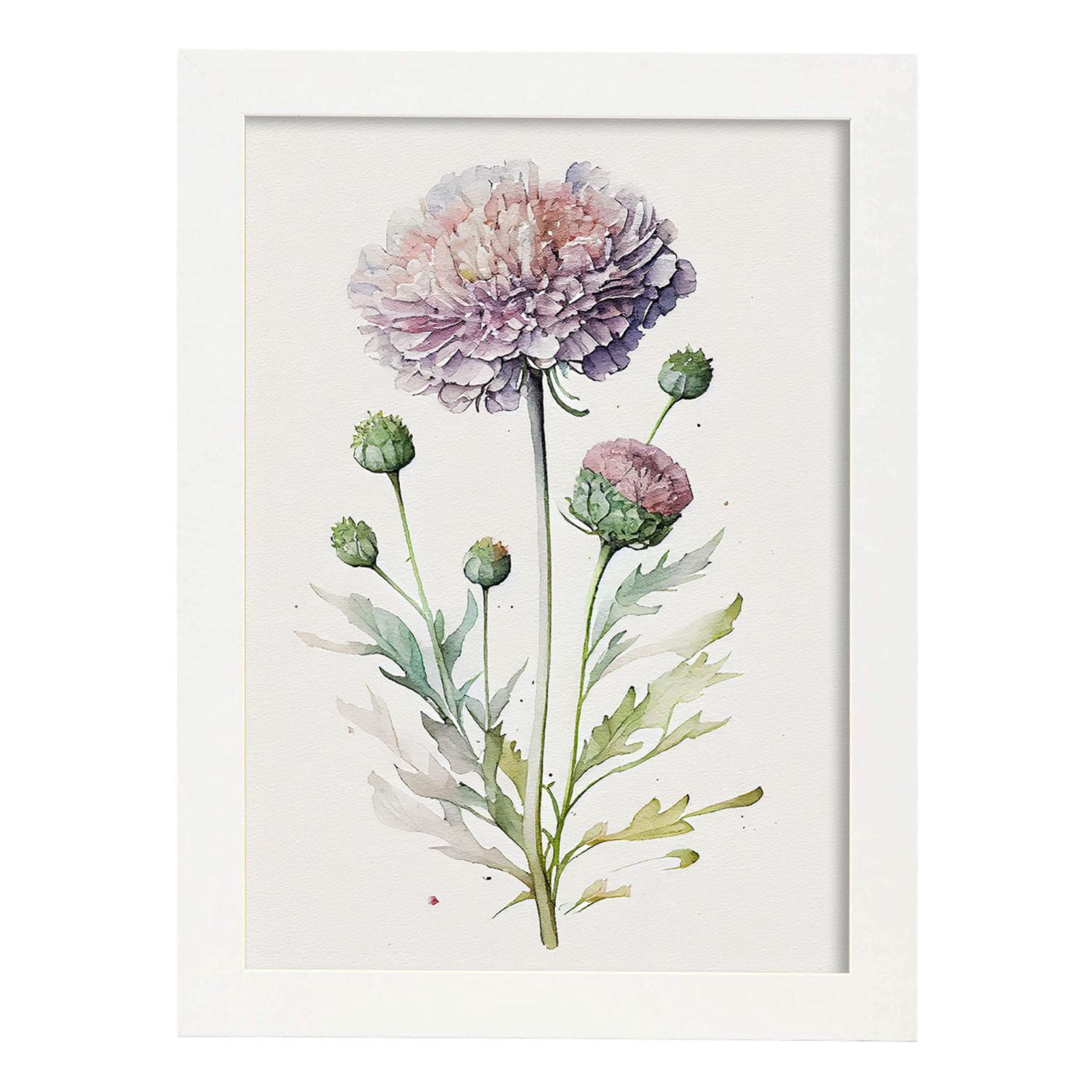 Nacnic poster de escabiosa estilo nórdico. ilustraciones de botánica con flores y plantas en acuarela. diseño moderno y decoración de interiores. mode
