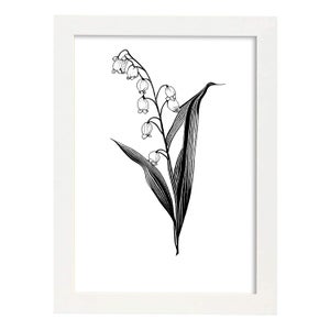 Mughetto Poster Botanico Di Piante Di Fiori In Bianco E Nero Linea Nordica  Stampe D'arte Per La La Camera Dei Bambini O La A4 Senza Cornice