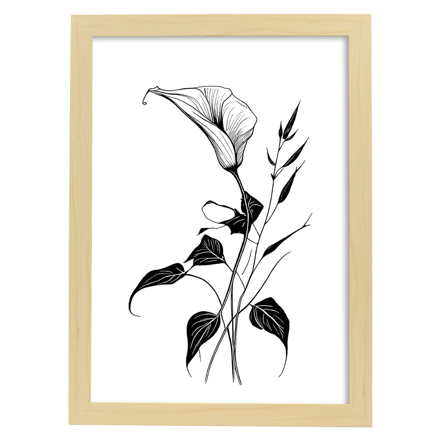 Nacnic poster de gloria de la mañana estilo nórdico. ilustraciones de botánica con flores y plantas en blanco y negro. diseño y decoración de interior