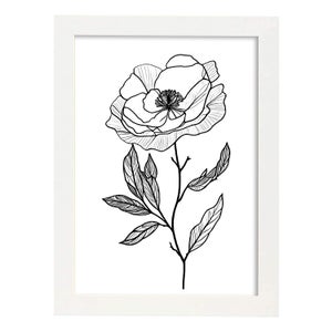 Nacnic Camelia Di Poster Botanico Di Piante Di Fiori In Bianco E Nero Linea  Nordica Stampe Per Camera Dei Bambini Modello 4 A4 Con Cornici Bianche