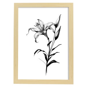 Mughetto Poster Botanico Di Piante Di Fiori In Bianco E Nero Linea Nordica  Stampe D'arte Per La La Camera Dei Bambini O La A4 Senza Cornice