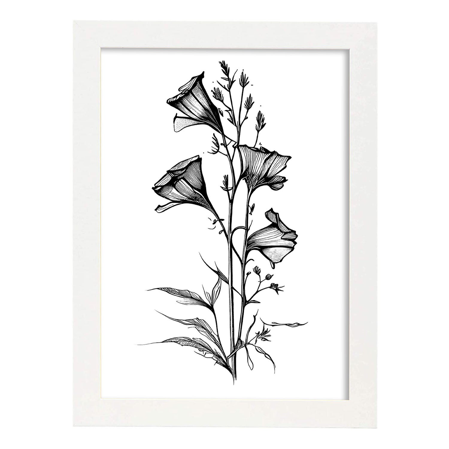 Nacnic Larkspur Di Poster Botanico Di Piante Di Fiori In Bianco E Nero  Linea Nordica Stampe Per Camera Dei Bambini Modello 1 A4 Con Cornici  Bianche