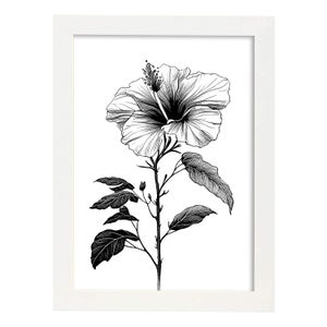 Nacnic Crisantemo Di Poster Botanico Di Piante Di Fiori In Bianco