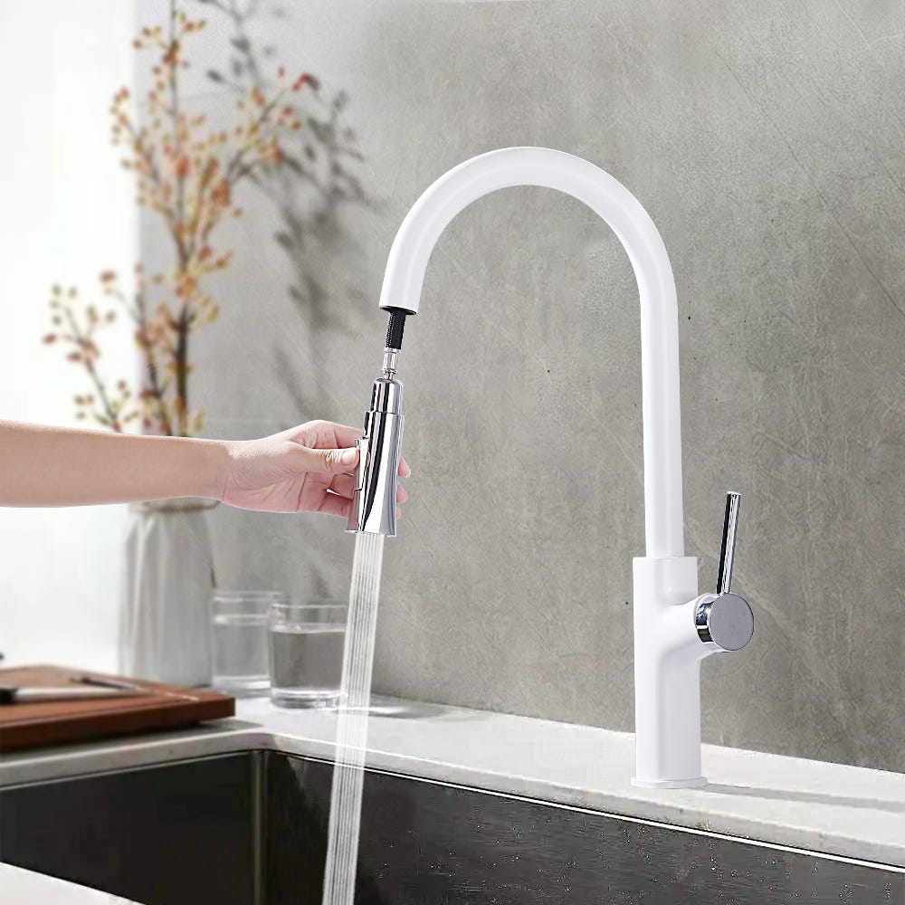 Simple robinet poignée unique Homelody pour lavabo avec douchette –  Homelody-fr