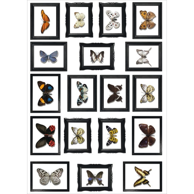 Stickers y vinilos decorativos, ilustración de mariposas en blanco y negro  de diferentes tamaños, 68 cm x 48 cm