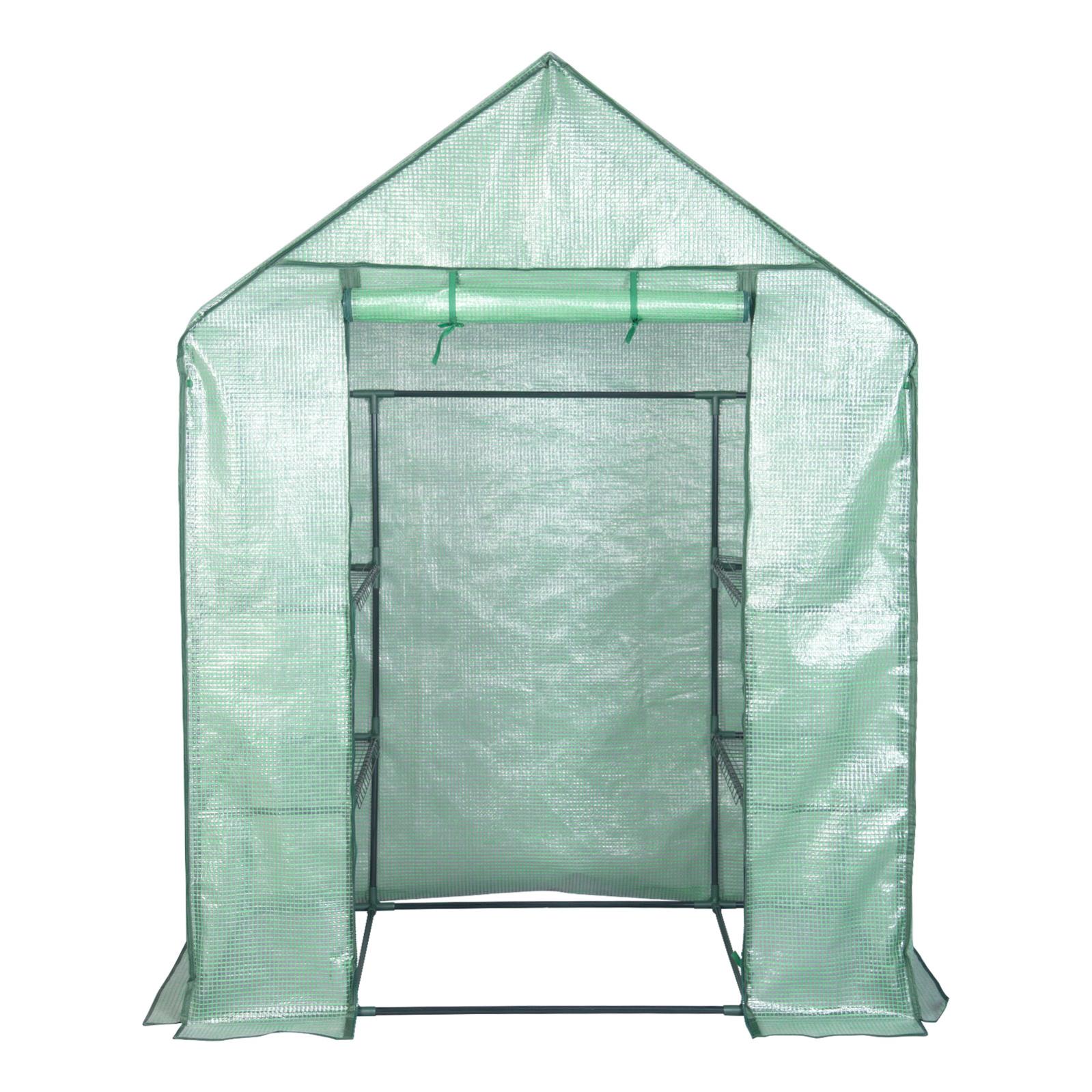 Greenhouse et couche de jardin de tomates Houses de légumes Plantant