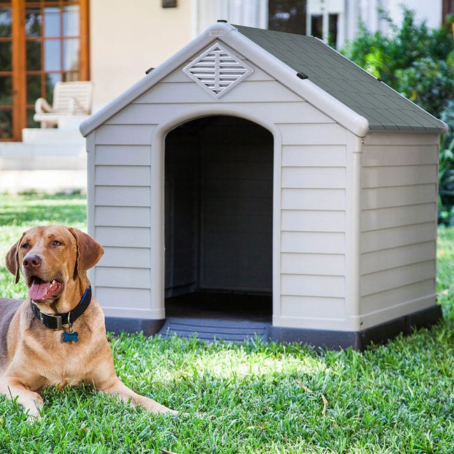 Típicamente Entender Arrugas Caseta de jardín para perros medianos en plástico Ruby | Leroy Merlin