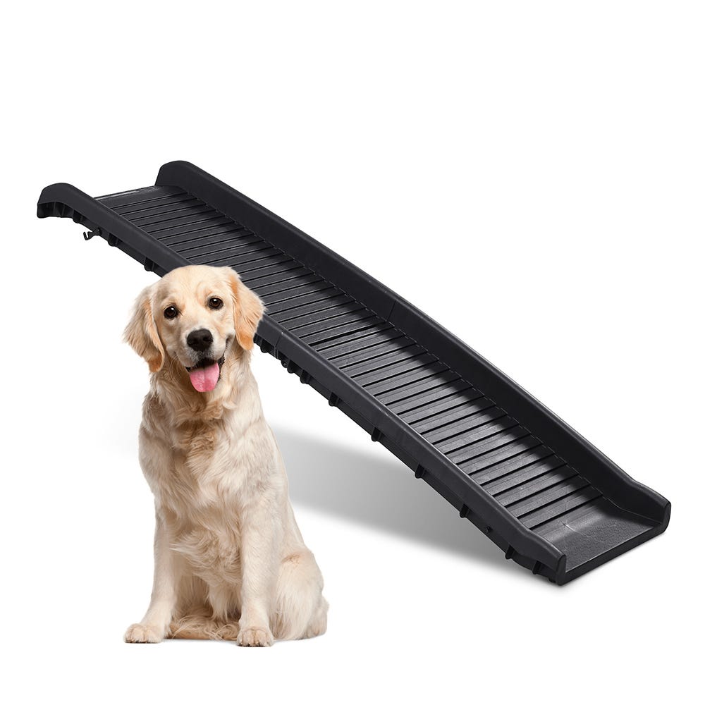 PawHut rampa para perros de madera 165x43x6,5 cm rampa plegable para  mascotas con alfombra antideslizante