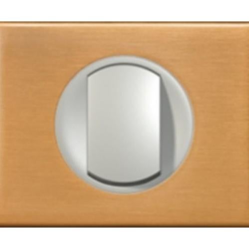 Interrupteur Silencieux Double Bouton Arnould - Plaque En Bronze Doré | Occasion Prêt à Poser