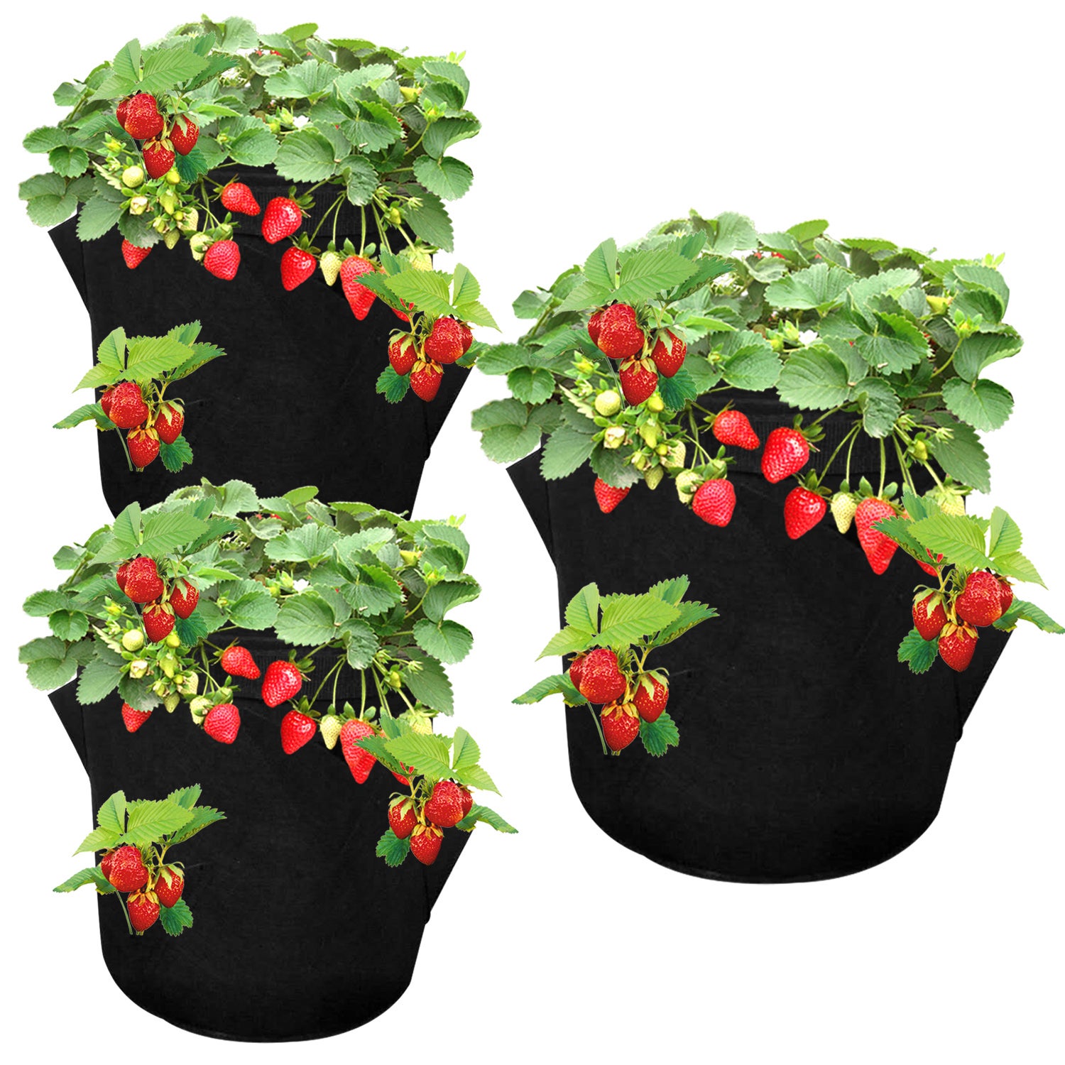 Pcs Sac Plantes Sac De Plantation Avec Poign Es Kit De Jardini Re Gallons Sac De Fleurs